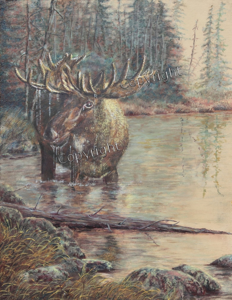 Moose at Sunrise Flora Fauna Painting